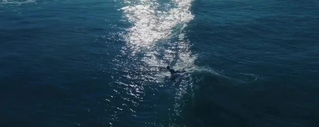 Sunlight on open water, a contextual still from the supplied film.
